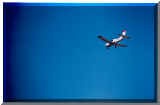 avion_Rally_F-GNSN.jpg (72124 octets)