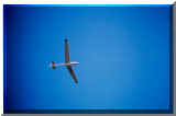 glider_D-D754.jpg (83530 octets)